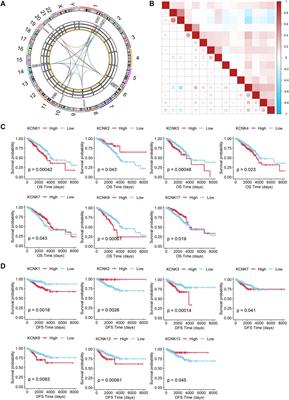 Integrative Analysis of KCNK Genes and Establishment of a Specific Prognostic Signature for Breast Cancer